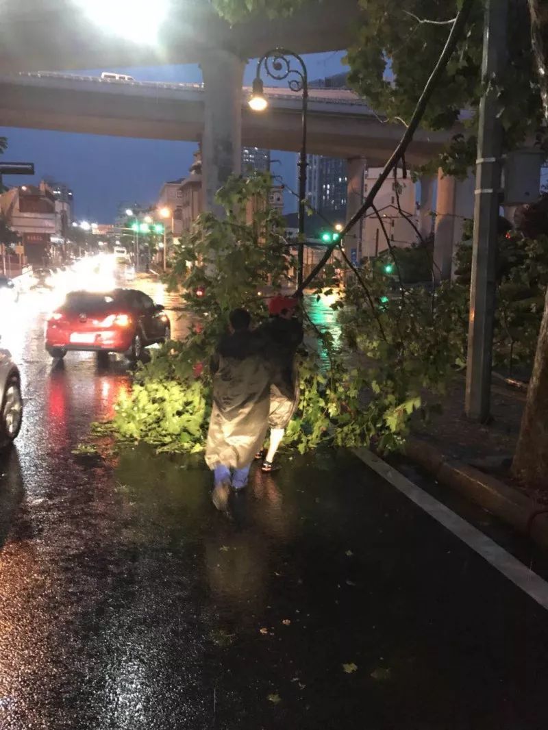 浙江暴雨日探秘小巷独特风味小店，暴雨最新消息揭秘