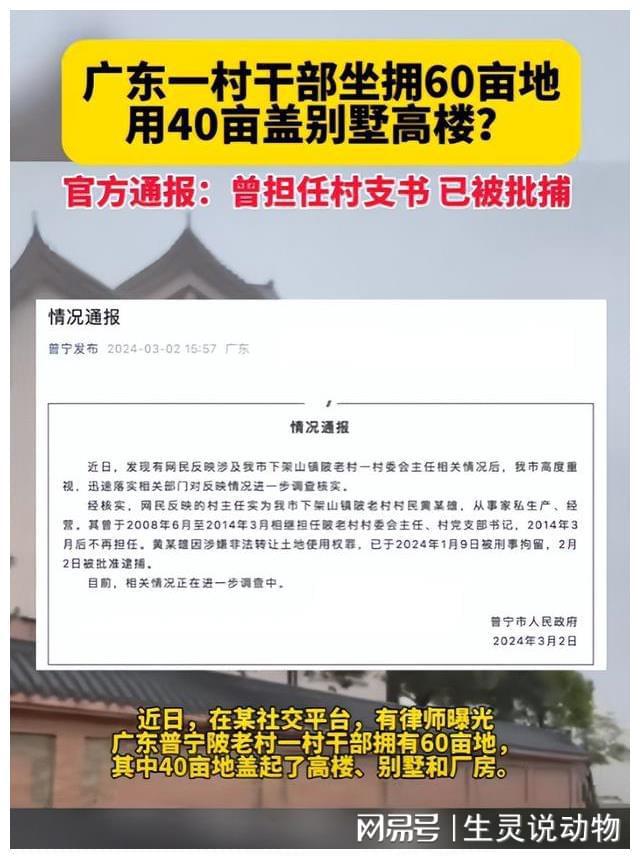 揭秘热点事件真相，天涯最新开票日期揭晓，深度解读热点事件内幕